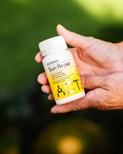 Sun Repair Supplement